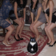 Illustration for article titled Im a Cat from Cats Dot Kinja, and This Is How I Meow